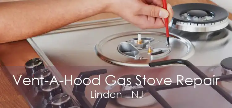 Vent-A-Hood Gas Stove Repair Linden - NJ