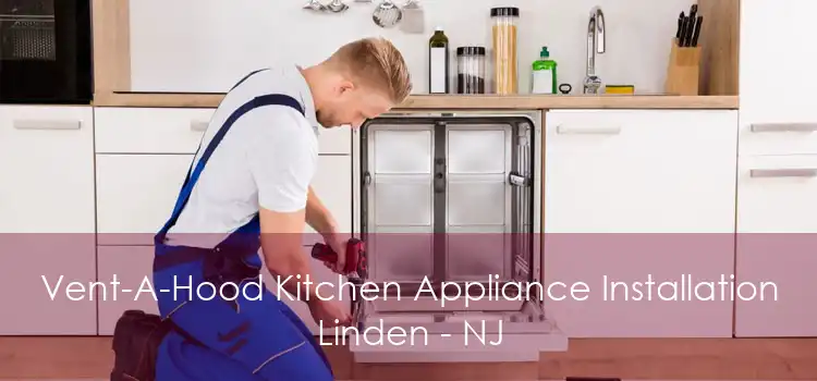 Vent-A-Hood Kitchen Appliance Installation Linden - NJ