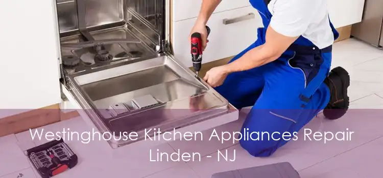 Westinghouse Kitchen Appliances Repair Linden - NJ