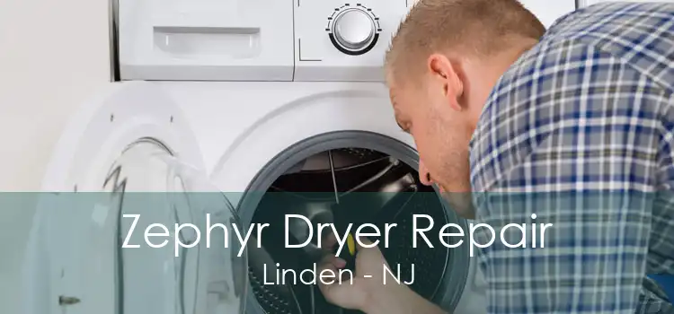 Zephyr Dryer Repair Linden - NJ