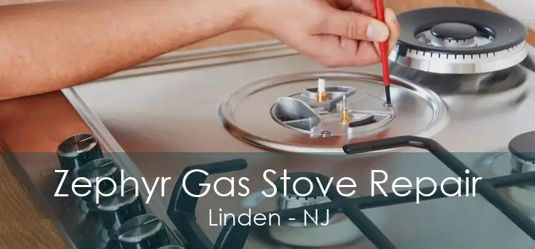 Zephyr Gas Stove Repair Linden - NJ