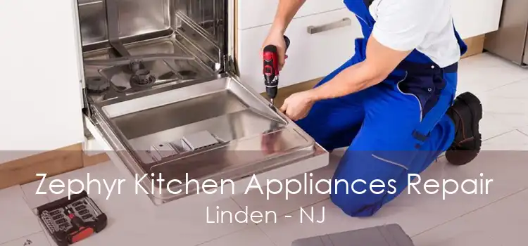 Zephyr Kitchen Appliances Repair Linden - NJ